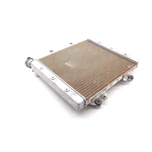 Engine Radiator Cooling 2011 Kawasaki Teryx 750 KRF750R 4x4 LE FI 1979 9
