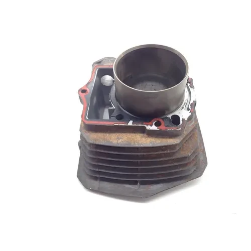 Engine Cylinder Jug 2002 Kawasaki Prairie 300 KVF300B 1973 x 10
