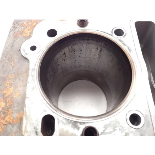 Engine Cylinder Jug 2002 Kawasaki Prairie 300 KVF300B 1973 x 7