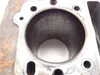Engine Cylinder Jug 2002 Kawasaki Prairie 300 KVF300B 1973 x