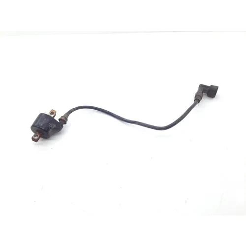 Ignition Coil 1995 Polaris Trail Blazer 250 1930 3