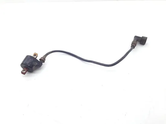 Ignition Coil 1995 Polaris Trail Blazer 250 1930