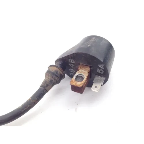Ignition Coil 1995 Polaris Trail Blazer 250 1930 5