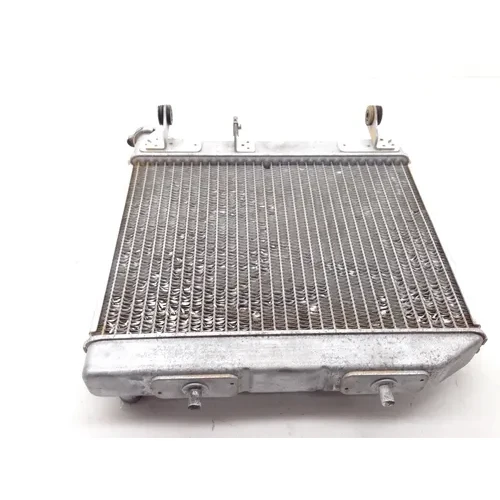 TRX 450ER Engine Radiator Cooling From 2006 Honda 10