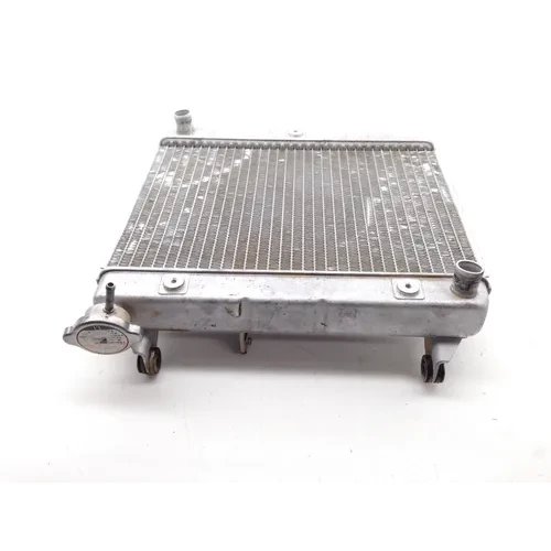 TRX 450ER Engine Radiator Cooling From 2006 Honda 7