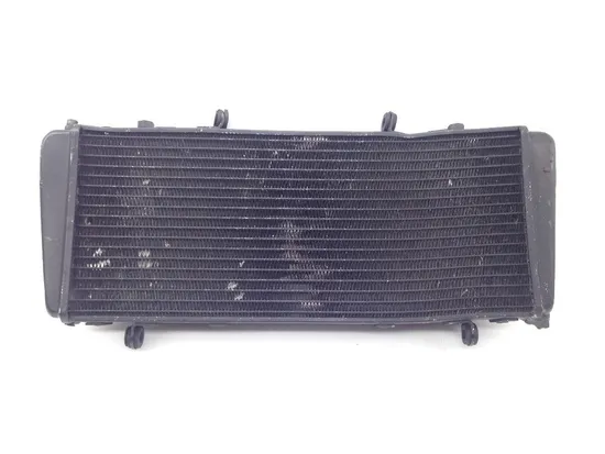 Radiator Cooling Front Fluid with Fan Aprilia RSV1000R 2019 x