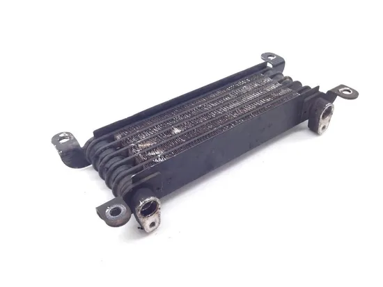 Rubicon 500 Engine Oil Cooler with Lines From 2003 Honda TRX500FA