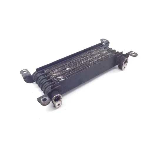 Rubicon 500 Engine Oil Cooler with Lines From 2003 Honda TRX500FA 9