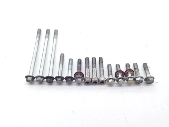 Rubicon 500 Outer Stator Cover From 2003 Honda TRX500FA