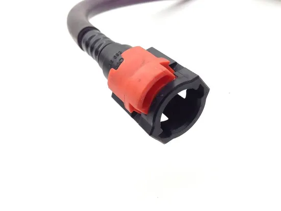 Engine Fuel Priming Rail 2005 Kawasaki Ninja ZX6R ZX636C 2024