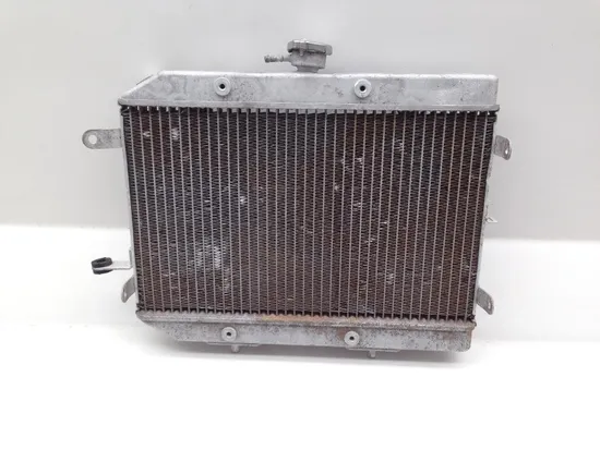 680 Rincon Engine Radiator Cooling From 2008 Honda 4x4 GPS