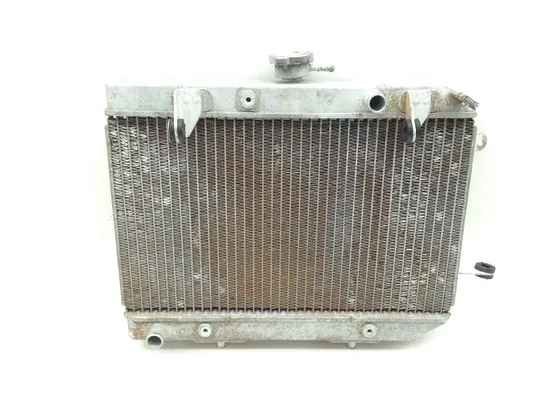 680 Rincon Engine Radiator Cooling From 2008 Honda 4x4 GPS