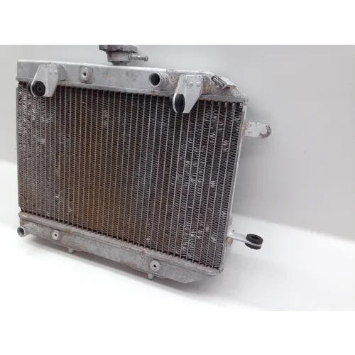 680 Rincon Engine Radiator Cooling From 2008 Honda 4x4 GPS 7