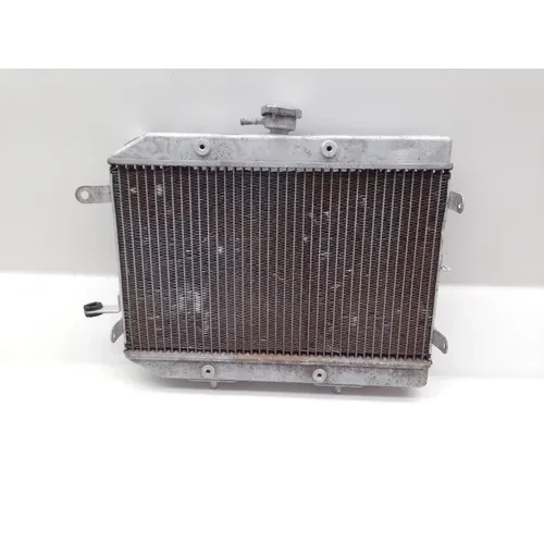 680 Rincon Engine Radiator Cooling From 2008 Honda 4x4 GPS 8