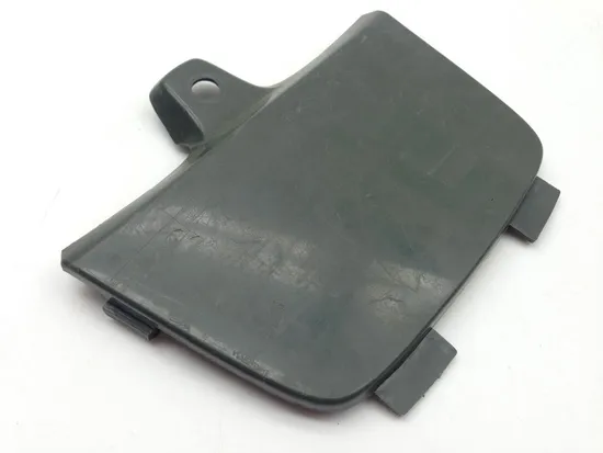 Rubicon 500 Hood From 2004 Honda GPS x