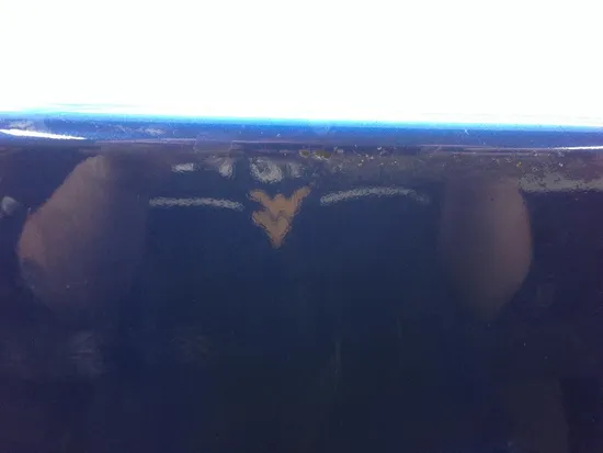 Rear Radiator Housing Cover Panel 2014 Arctic Cat Wildcat 4X 1000 2070 x