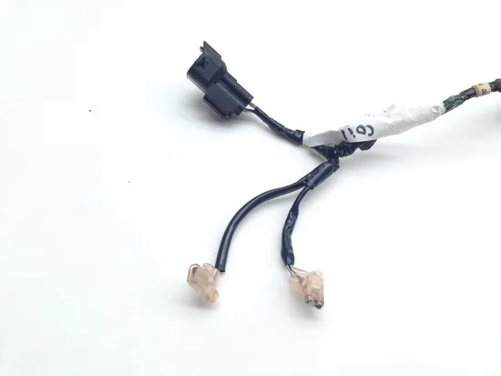 Fury Ignition Coil Harness From 2010 Honda VT 1300 CX