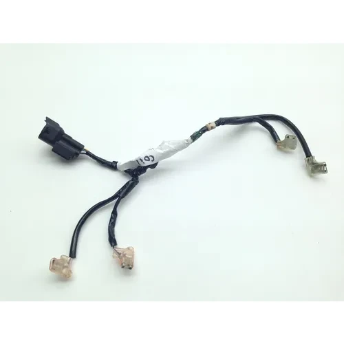 Fury Ignition Coil Harness From 2010 Honda VT 1300 CX 3