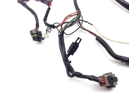 Main Engine Wiring Harness 01 Harley Electra Ultra Classic EFI FLHTCUI 2088 x