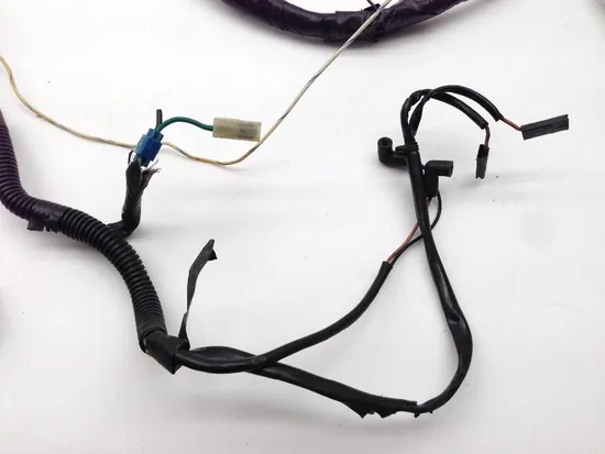 Main Engine Wiring Harness 01 Harley Electra Ultra Classic EFI FLHTCUI 2088 x