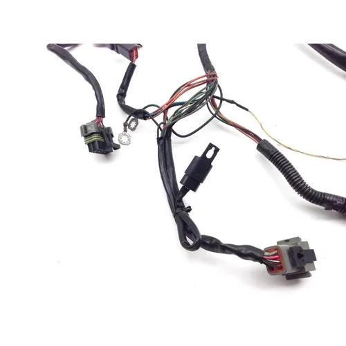Main Engine Wiring Harness 01 Harley Electra Ultra Classic EFI FLHTCUI 2088 x 9