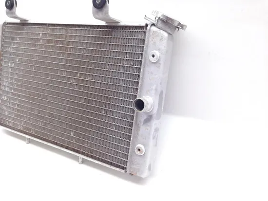 Engine Radiator Cooling 2008 Yamaha Rhino 700 YXR700FSP2 4x4  FI 2083A x