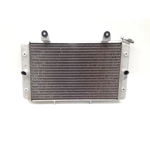 Engine Radiator Cooling 2008 Yamaha Rhino 700 YXR700FSP2 4x4  FI 2083A x 3