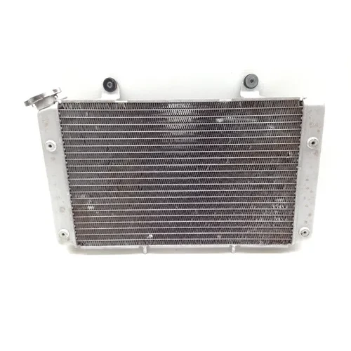 Engine Radiator Cooling 2008 Yamaha Rhino 700 YXR700FSP2 4x4  FI 2083A x 10