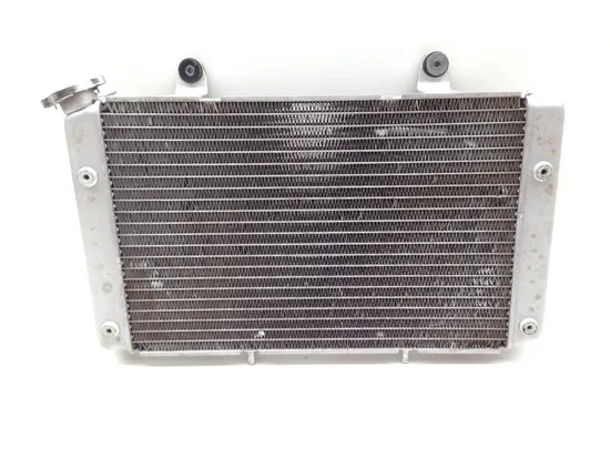 Engine Radiator Cooling 2008 Yamaha Rhino 700 YXR700FSP2 4x4  FI 2083A x