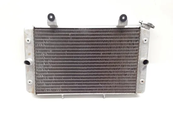 Engine Radiator Cooling 2008 Yamaha Rhino 700 YXR700FSP2 4x4  FI 2083A x