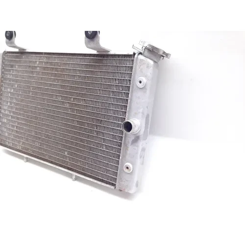 Engine Radiator Cooling 2008 Yamaha Rhino 700 YXR700FSP2 4x4  FI 2083A x 9