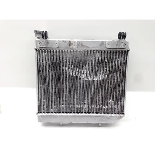 TRX 450ER Engine Radiator Cooling From 2007 Honda x 8