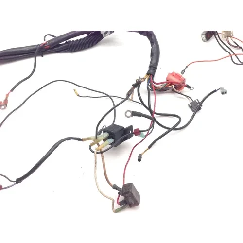 Main Engine Wiring Harness 1993 Harley-Davidson Electra Glide FLHT 2091 x 11