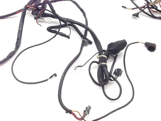 Main Engine Wiring Harness 1993 Harley-Davidson Electra Glide FLHT 2091 x