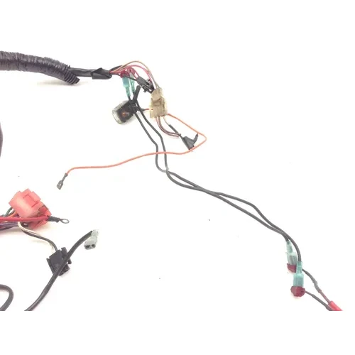 Main Engine Wiring Harness 1993 Harley-Davidson Electra Glide FLHT 2091 x 13