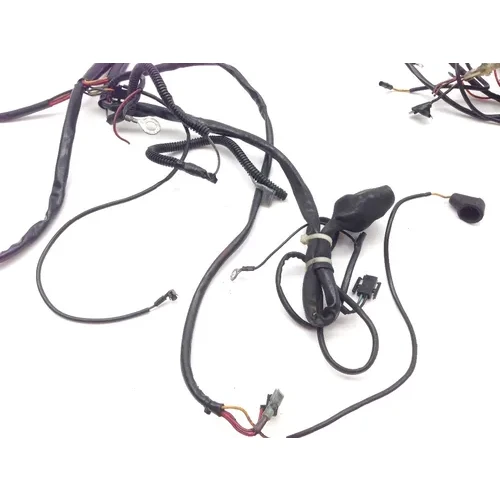 Main Engine Wiring Harness 1993 Harley-Davidson Electra Glide FLHT 2091 x 7