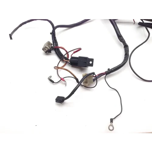 Main Engine Wiring Harness 1993 Harley-Davidson Electra Glide FLHT 2091 x 5