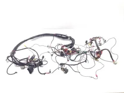 Main Engine Wiring Harness 1993 Harley-Davidson Electra Glide FLHT 2091 x