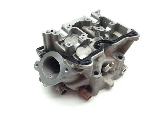 Engine Cylinder Head Complete W Cams Front Aprilia RST1000 Futura 2084