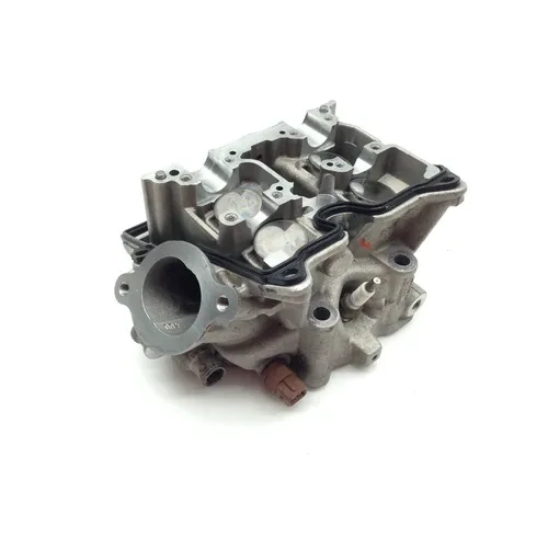 Engine Cylinder Head Complete W Cams Front Aprilia RST1000 Futura 2084 17