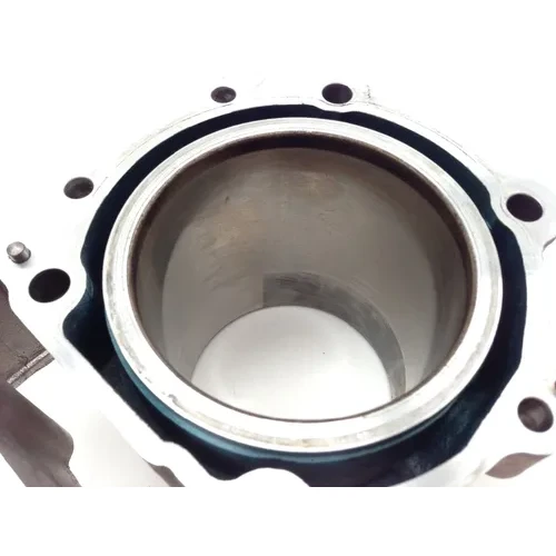 Engine Cylinder Jug W Piston Front Aprilia RST1000 Futura 2084 12