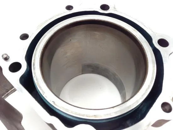 Engine Cylinder Jug W Piston Front Aprilia RST1000 Futura 2084