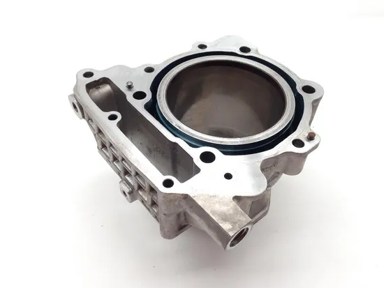 Engine Cylinder Jug W Piston Front Aprilia RST1000 Futura 2084