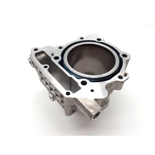 Engine Cylinder Jug W Piston Front Aprilia RST1000 Futura 2084 11