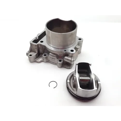 Engine Cylinder Jug W Piston Front Aprilia RST1000 Futura 2084 3