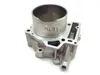 Engine Cylinder Jug W Piston Front Aprilia RST1000 Futura 2084