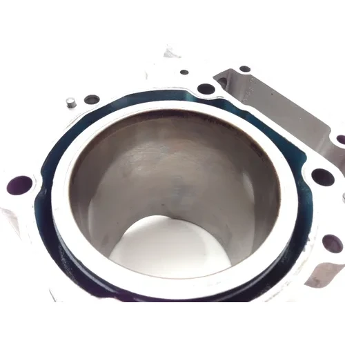 Engine Cylinder Jug W Piston Rear Aprilia RST1000 Futura 2084 16