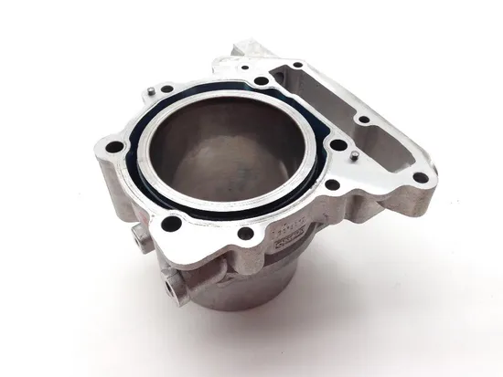 Engine Cylinder Jug W Piston Rear Aprilia RST1000 Futura 2084