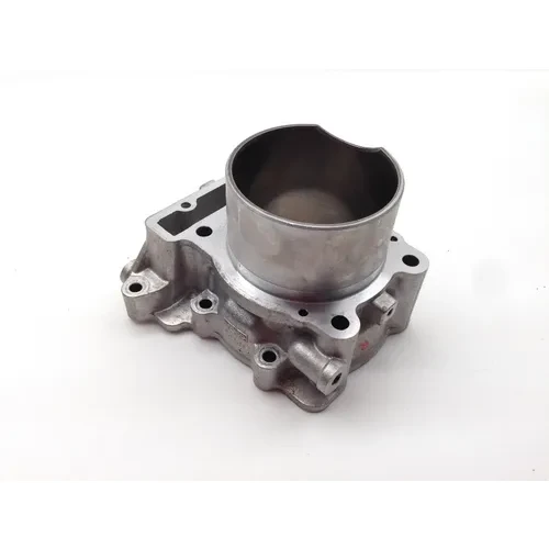 Engine Cylinder Jug W Piston Rear Aprilia RST1000 Futura 2084 13