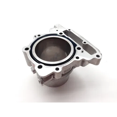Engine Cylinder Jug W Piston Rear Aprilia RST1000 Futura 2084 15